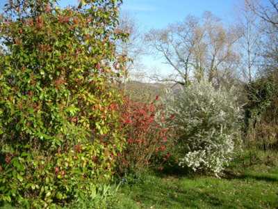 un jardin en 
fleurs